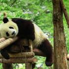 BITPANDA.COM - návod na online nákup bitcoinu a dalších kryptoměn